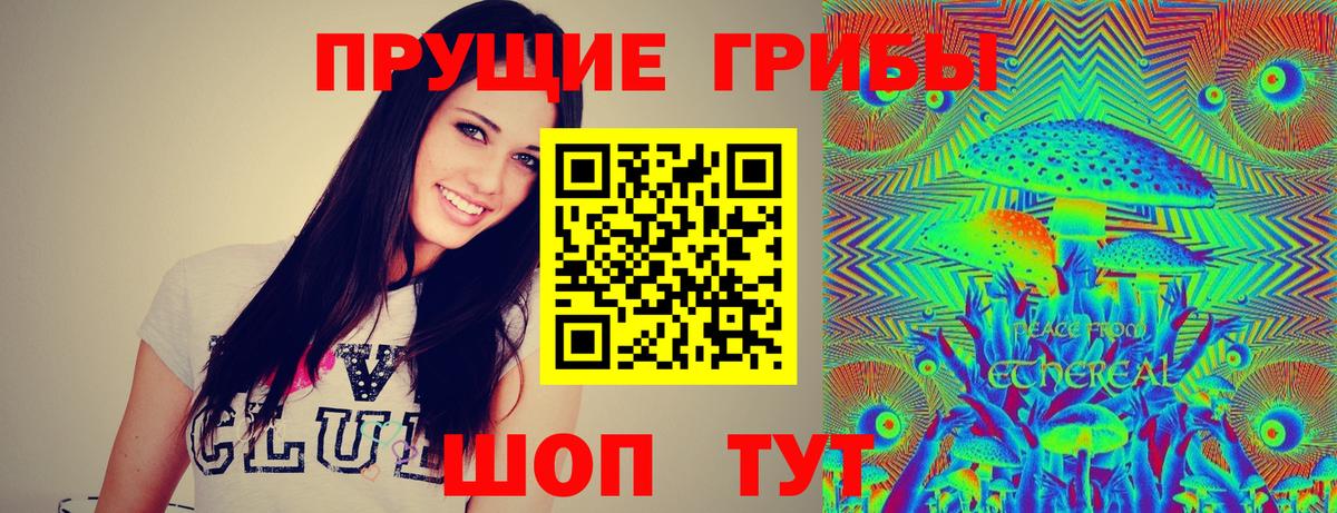 Псилоцибиновые грибы мухоморы Петрозаводск